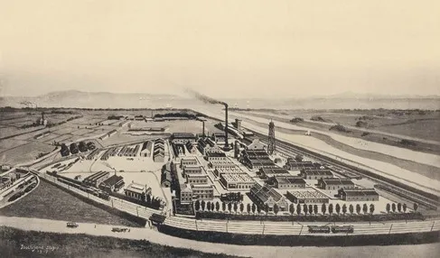 1919年 大日本セルロイド株式会社 創立