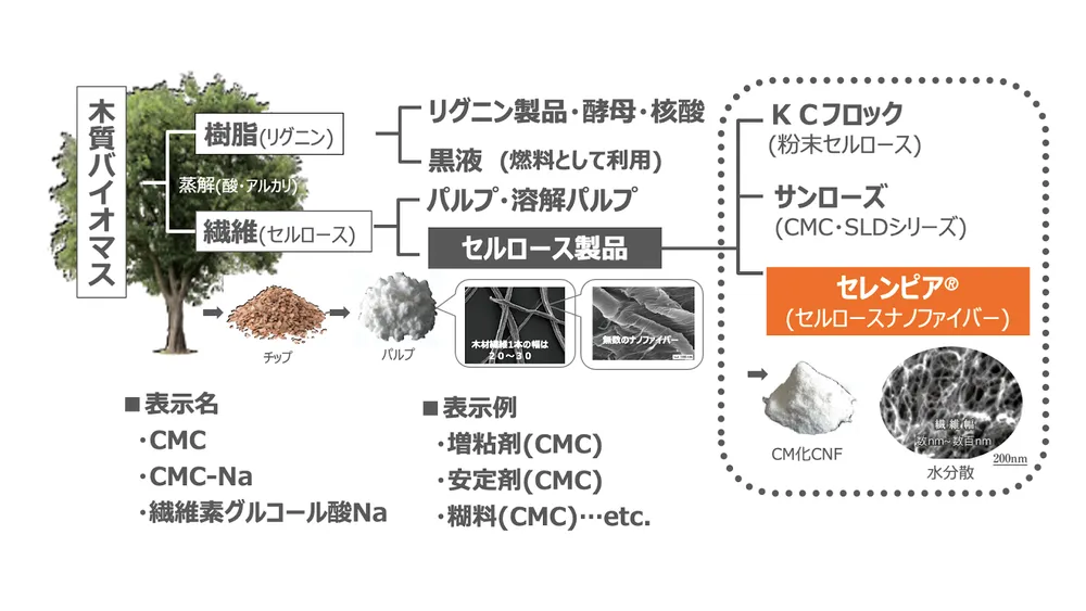 代替食品のトレンドと企業事例〜市場の将来性と解決すべき課題〜